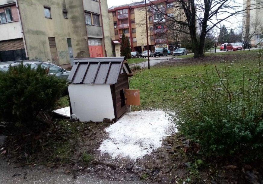 ČUPKO PODIJELIO KOMŠILUK Psu izgradili dom među zgradama u Prijedoru, ali neki misle da mu tu nije mjesto (FOTO)