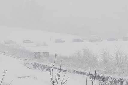 Snijeg napravio problem u Bastasima: Srušena bandera i drvo BLOKIRALI PUT