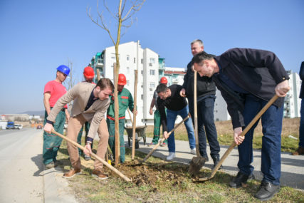Gradonačelnik Stanivuković sa mještanima započeo proljećnu akciju: Listovi katalpe će krasiti Adu (FOTO)