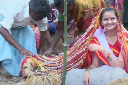 SMATRAJU DA TJERA MALER Djeca u Indiji sklapaju brak sa životinjama, a najčešći izbor je pas (VIDEO)