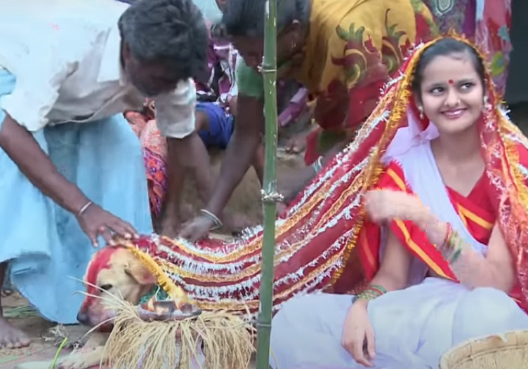 SMATRAJU DA TJERA MALER Djeca u Indiji sklapaju brak sa životinjama, a najčešći izbor je pas (VIDEO)