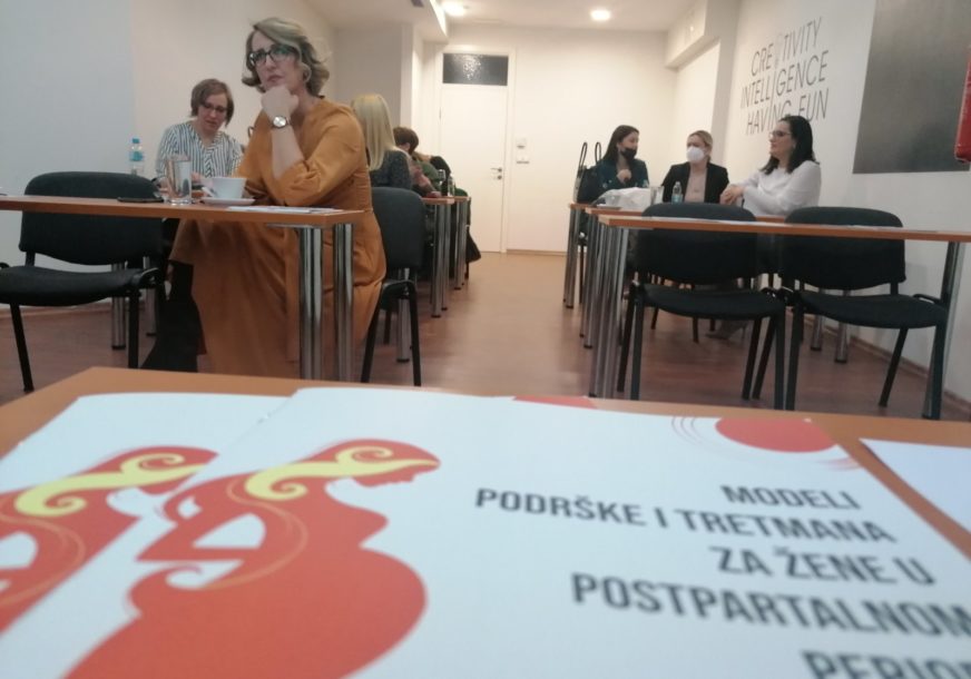 Udruženje “EKO-EHO”: Predstavljena brošura o podršci  ženama u postporođajnom periodu