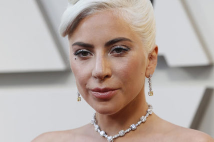UKRADENI U HOLIVUDU Lejdi Gaga nudi pola miliona dolara za vraćanje otetih pasa