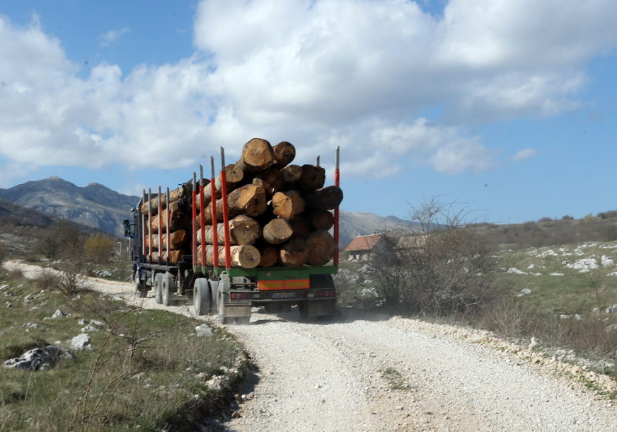 Oštetili "Šume Srpske" za 39.000 KM: Osumnjičeni za nesavjestan rad u službi