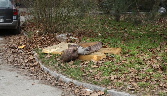 Tijelo pokriveno STARIM DUŠEKOM: Mrtvog mladića u žbunu NAŠAO POŠTAR (FOTO)