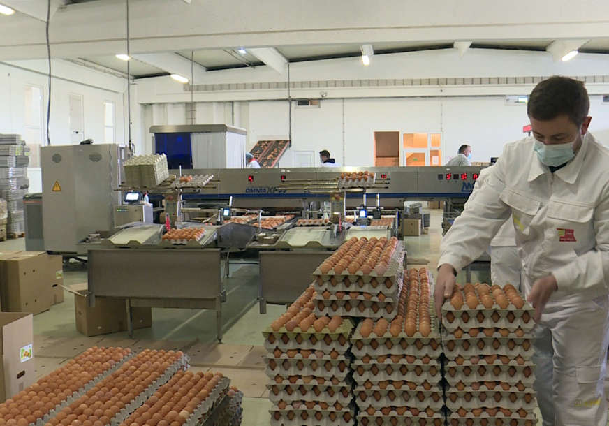 "Ove godine nije bilo izvoza jaja"  Epidemija pogoršala uslove poslovanja za privrednike