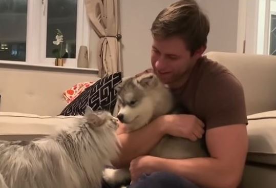 Upoznali su mačku sa psom pa pokazali kako se njihov odnos razvijao tokom šest mjeseci (VIDEO)
