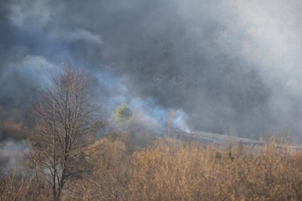 Veliki požar kod Gračanice: Gori 150 dunuma šume i niskog rastinja, teren nepristupačan