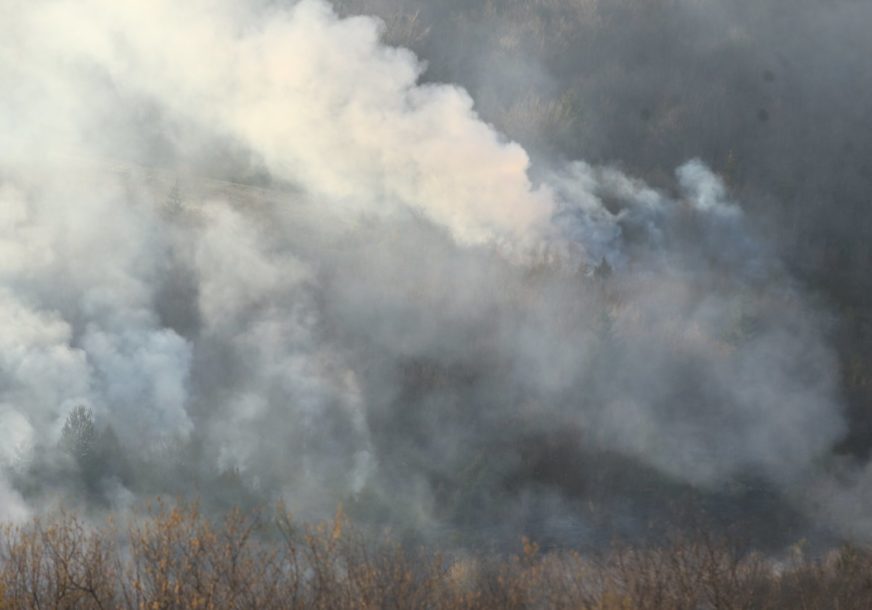 GAŠENJE OTEŽAVAO VJETAR Pod kontrolom požar u Nacionalnom parku "Lovćen"