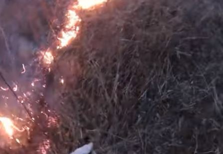 Požar kod Mostara: Gori nisko rastinje