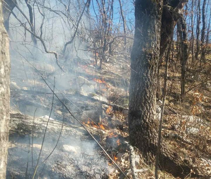 “Stanje je mirnije” Hercegovački vatrogasci deset dana se bore sa šumskim požarom u Viduši