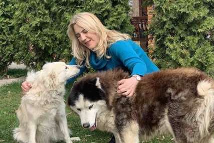 "MNOGO ZNAČE CIJELOJ PORODICI" Predsjednica Srpske objavila fotografije druženja sa psima Bartom i Belom (FOTO)