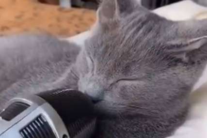 “Pusti me da spavam, čovječe” Dok je mačak ležao, vlasnica postavila mikrofon, snimak postao hit (VIDEO)