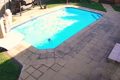 Staford spasavao najboljeg prijatelja iz bazena 34 minuta, UPORNO, BEZ ODUSTAJANJA (VIDEO)