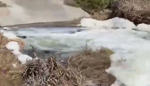“Pokušavamo da spriječimo haos” Floridi prijeti katastrofalna poplava otrovne vode (VIDEO)