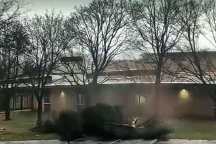 NEVJEROVATNA SCENA Udar groma u stablo ispred škole pokazuje svu snagu prirode (VIDEO)