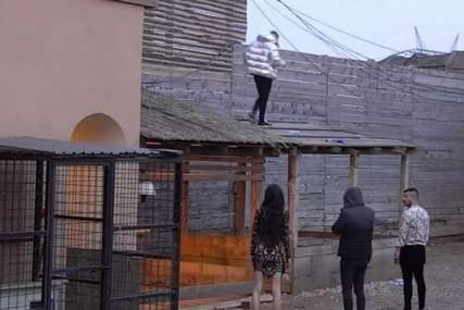 Ša bježi iz rijalitija zbog Tare: Popeo se na krov i htio preskočiti ogradu, a ona ga ISMIJAVA