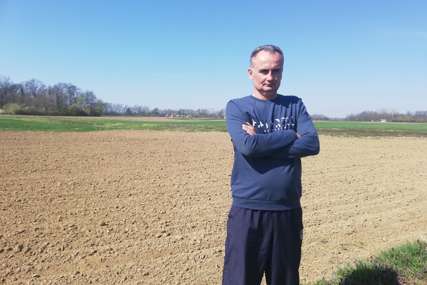 Semberac uzgaja "super biljku": Konoplja šansa za mala i srednja gazdinstva u Srpskoj