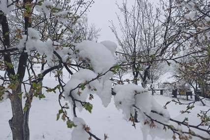 GDJE JE NESTALO PROLJEĆE  Krajina ponovo prekrivena snježnim prekrivačem (FOTO)