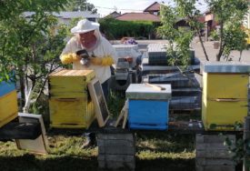 Pčelari dijele sudbinu poljoprivrednika: Nevrijeme utiče i na PRINOS MEDA u Srpskoj