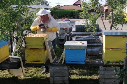 Pčelari dijele sudbinu poljoprivrednika: Nevrijeme utiče i na PRINOS MEDA u Srpskoj