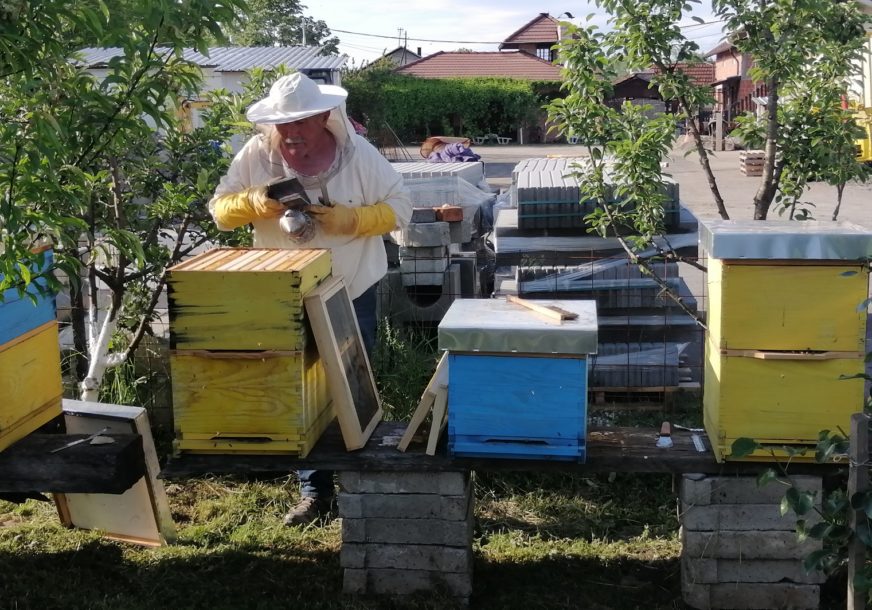 Pčelar brine o pčelama u košnici