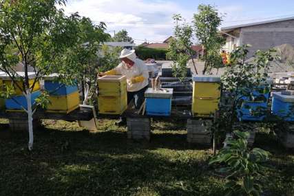 Izmjena zakona: Sektor pčelarstva uskladiti sa propisima EU