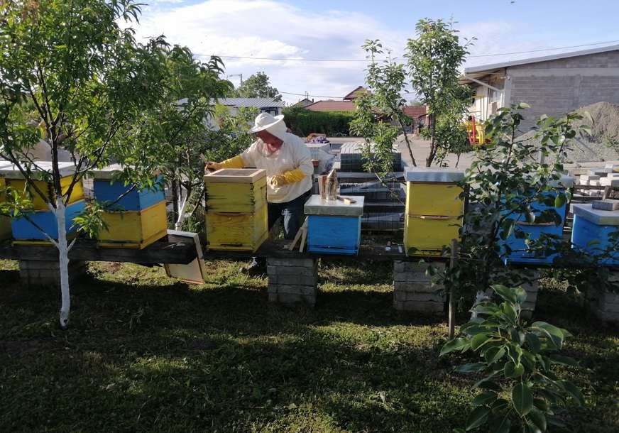 Izmjena zakona: Sektor pčelarstva uskladiti sa propisima EU