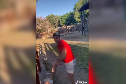 PONOVO IZAZVAO BIJES Bahati tiktoker iz Beograda ušao je u kavez sa žirafama i htio da se popne na njih (VIDEO)