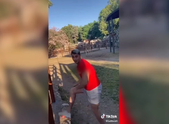 PONOVO IZAZVAO BIJES Bahati tiktoker iz Beograda ušao je u kavez sa žirafama i htio da se popne na njih (VIDEO)