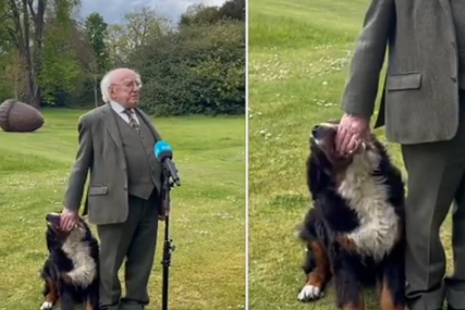 SNIMAK KOJI POPRAVLJA RASPOLOŽENJE Irski predsjednik držao govor, svu pažnju "ukrao" njegov pas (VIDEO)