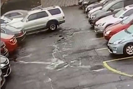 KATASTROFA Pokušao je da isparkira svoj auto sa punog parkinga i napravio je karambol (VIDEO)