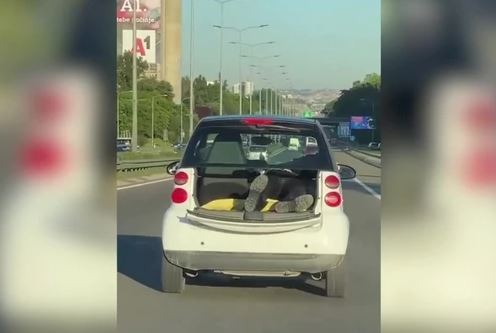Građani u nevjerici gledali šta ovom čovjeku viri iz gepeka (VIDEO)