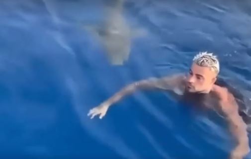 Prizor od kojeg hvata jeza: Dok se kupao ajkula je prošla odmah ispod njega, da PRETRNEŠ OD STRAHA (VIDEO)