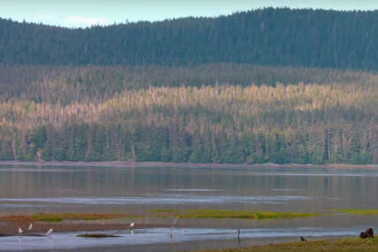 ODLUKA SAD Obustavljeno istraživanje nafte i gasa u rezervatu prirode na Aljasci