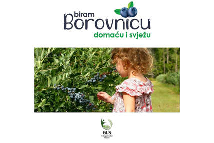 “Biraj borovnicu - domaću i svježu” Poljoprivredni klaster GLS povezuje proizvođače i potrošače