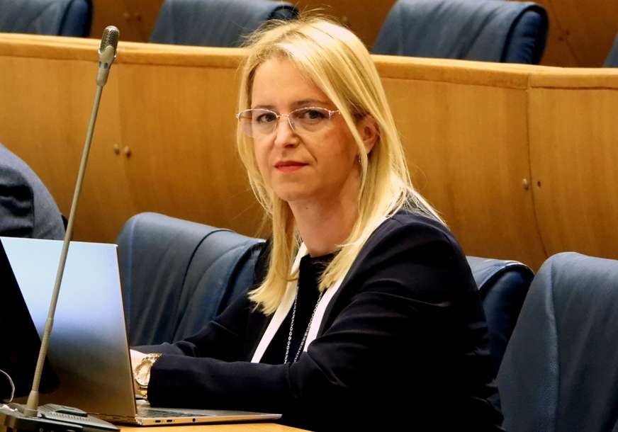 NAMETANJE ZAKONA Bursać: Upitan smisao parlamenta ako drugi imaju ovlaštenja