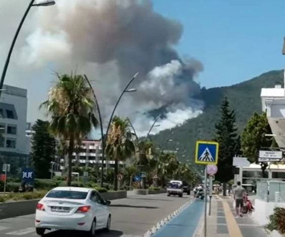 Šumski požar kod čuvenog turskog ljetovališta: Vatrogasci se muče, vjetar širi plamen (VIDEO)