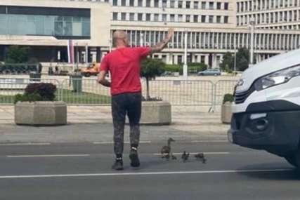Scena o kojoj se PRIČA DANIMA: Vozač kombija zaustavio saobraćaj da patkice bezbjedno pređu ulicu