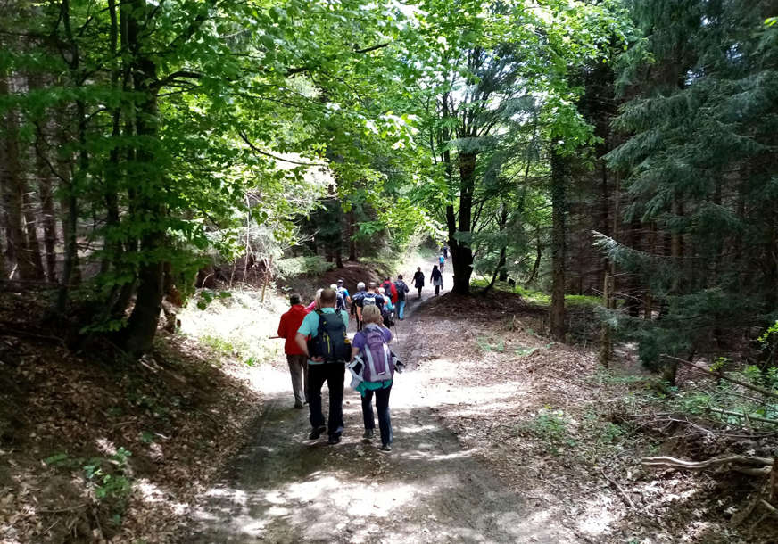 Planinarsko društvo uputilo inicijativu: Uvesti predmet "ekologija" u osnovne škole