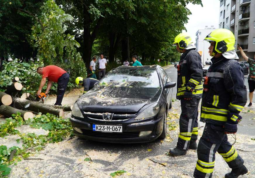 Banjaluci potreban katastar zelenih površina: Uklonjeno stablo lipe koje je jutros palo na auto