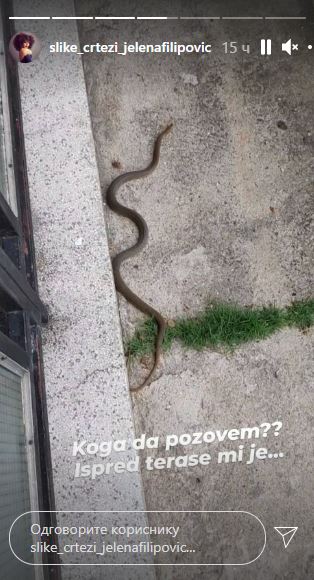 FOTO: SLIKE_CRTEZI_JELENAFILIPOVIC/INSTAGRAM/SCREENSHOT