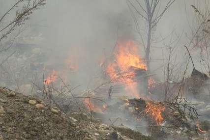Gori šuma na Zlatiboru: Mještani strahuju da plamen ne zahvati kuće