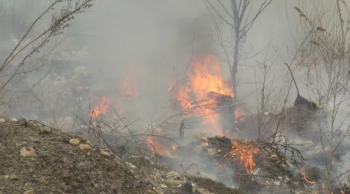 Gori šuma na Zlatiboru: Mještani strahuju da plamen ne zahvati kuće