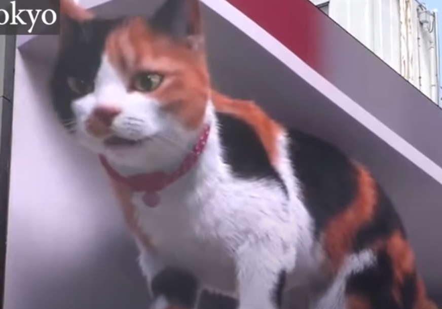 Tehnologija koja oduševljava prolaznike: Gigantska 3D mačka u Tokiju (VIDEO)