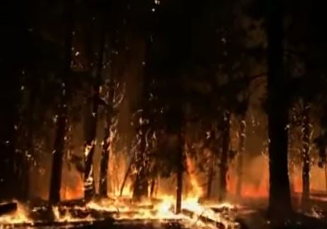 UPORNA VATRA NE STAJE Širom Amerike bukti 85 požara, povrijeđeno pet vatrogasaca (VIDEO)