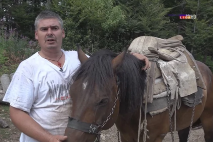 ”SLUŠA KAO MAŠINA" Bratislav i njegovi konji idu tamo gdje kamioni i traktor ne mogu da priđu
