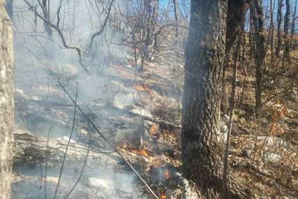 Vatra ne ugrožava kuće: Požar na granici sa Crnom Gorom se širi prema trebinjskoj opštini
