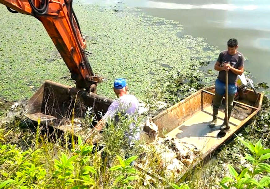 Stečajni upravnik potvrdio: U prnjavorskom "Ribnjaku" završeno uklanjanje uginule ribe