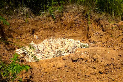 "Slijedi čišćenje kanala ribnjaka" Sanacija ekološke katastrofe u Prnjavoru se nastavlja